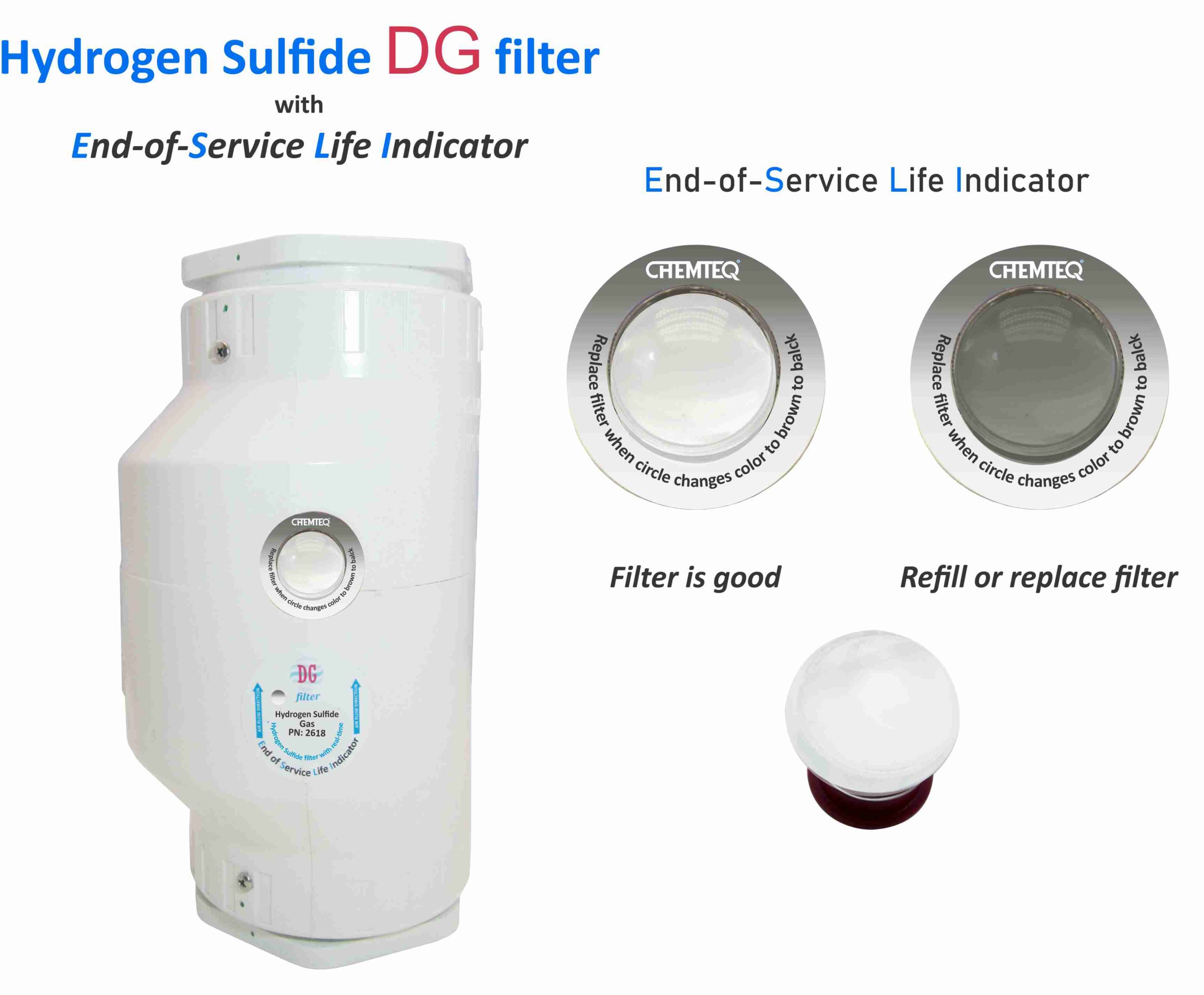 Hydrogen Sulfide DG FILTER-ESLI-2618. Filter with end of service life indicator for chemical processes and reactor vents.